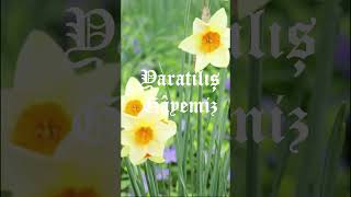 Yaratılış Gayemiz Resimi