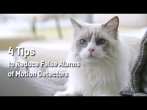 4 Tips to Reduce False Alarms of Motion Detectors