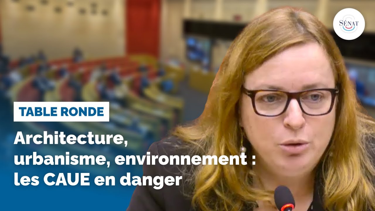 Architecture, urbanisme, environnement : les CAUE en danger