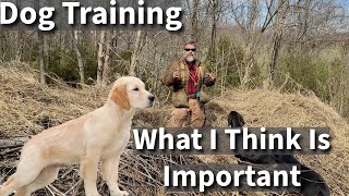 What Stonnie Thinks Is Really Important In Dog Training | Agree or Disagree? by Stonnie Dennis 17,723 views 1 month ago 5 minutes, 24 seconds