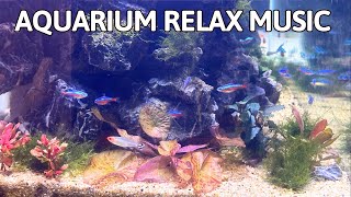 Aquarium Relax Music Music for Relaxation and Sleep Music  Aquarium 4K