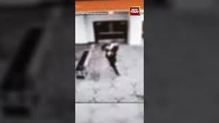 SHOCKING CCTV Reveals Chaos During Active Shooting at Elite Washington Event | Trump Attacked |
