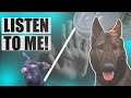 Sitplaysit impulse and drive control k9 scent work for beginners