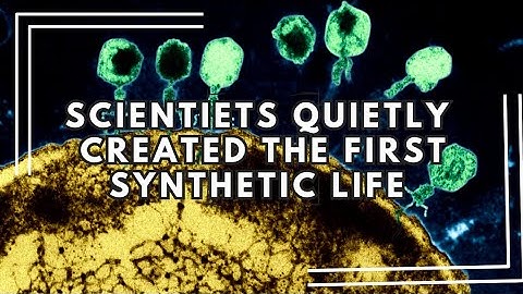 Creation of the first synthetic living cells