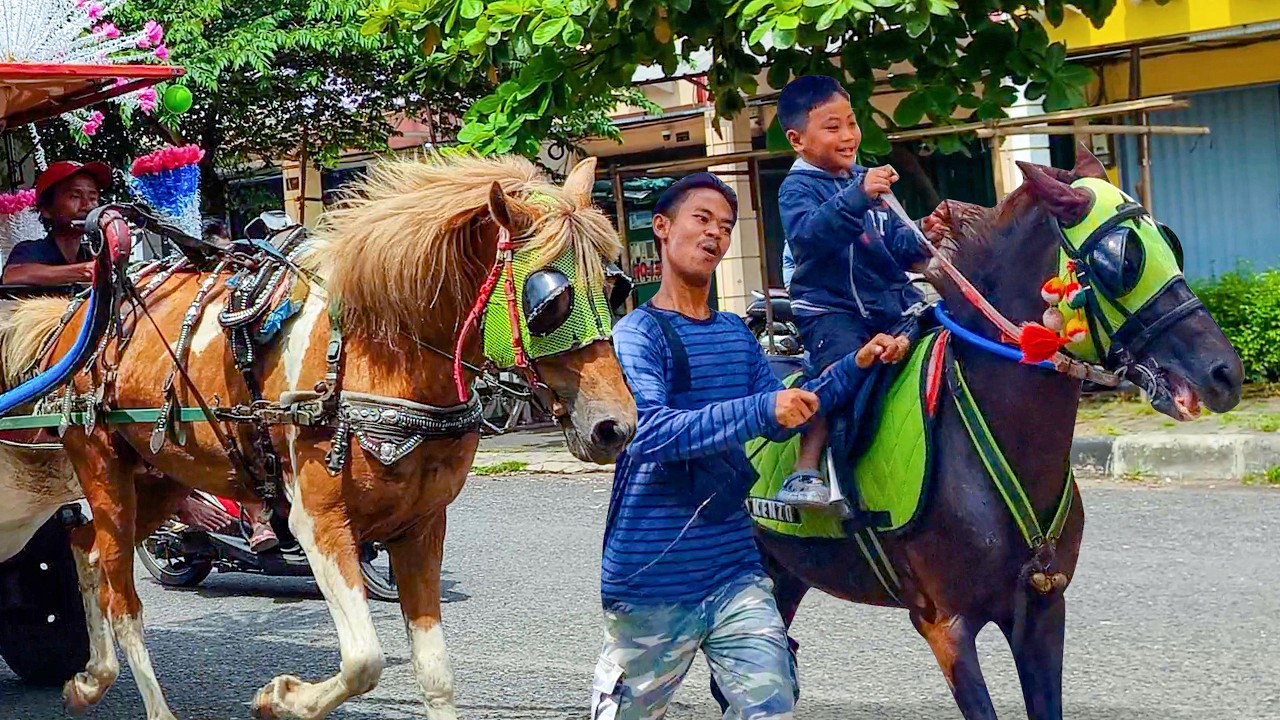 NAIK DELMAN ISTIMEWA 🐎 LAGU ANAK ANAK - KUDA DELMAN