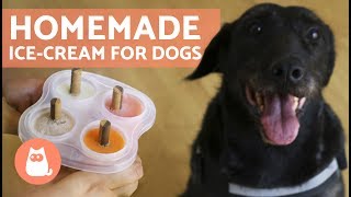 HOMEMADE ICE CREAM FOR DOGS - 4 easy recipes