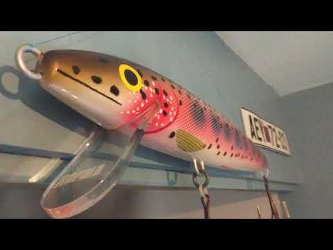 Rapala Giant lure 