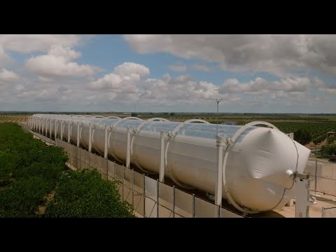 Videó: A Genius spanyol Solar Pavilion innovatív megoldásokat kínál a személyre szabott gyártás számára