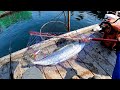 海上釣堀「辨屋」で乱舞する青物の見釣り