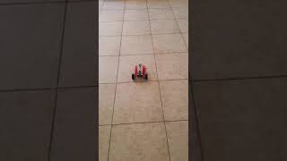 Robot-Straight path (2 meters)