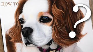 How to Paint a Dog in Pastels | Beginner Art Time-lapse by Shaymus Art Tutorials 934 views 3 years ago 5 minutes, 56 seconds
