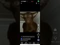Миша ты што пукнул 🤣🤣🤣🤣🤣