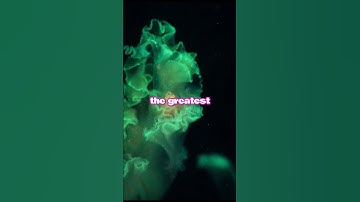 God has given us all the evidence we need to show us He’s real and worthy of our trust BILLY GRAHAM