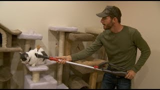 Vacuuming Cats
Theyll take love any way they can get it! Vacuuming Cats