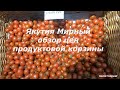 Якутия Мирный Обзор цен в крупных супермаркетах, фрукты овощи  молочка!