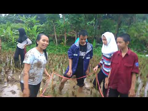 praktek-ipa-ekosistem-sawah-kls-12-rpl-2