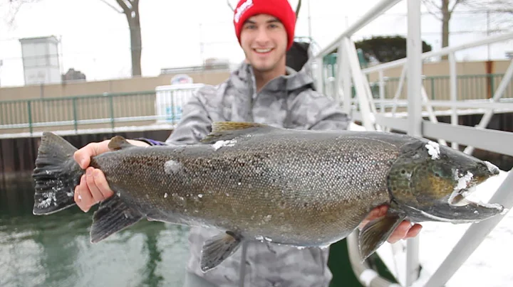 HUGE Brown Trout by DOWNTOWN!--Milwa...  Harbor Fishing