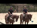 Sistema de Treinamento de Cavalos para Vaquejada  - treinando escantear