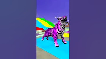 Slide game with Tiger #shorts, #animation, #cartoon #3danimation #3dgame #animals #funny
