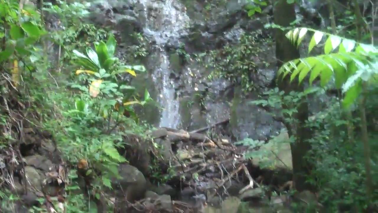 Mount Ka'ala - A Slippery Climb to the Highest Point on Oahu, Hawaii