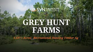Georgia Hunting Tract For Sale | Grey Hunt Farms of Worth County | 1,137 ± Acres | Sylvester, GA