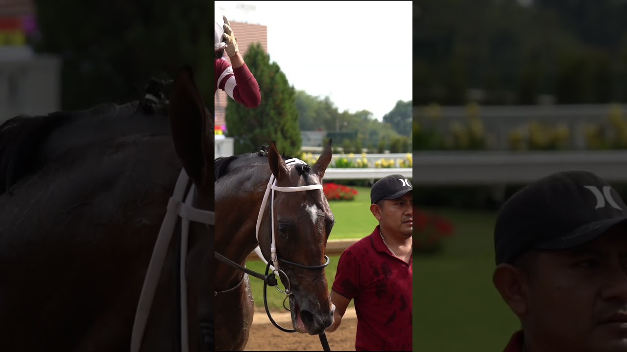 The Road to the 2026 Kentucky Derby Is Here!