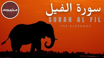 Surah Al Fil  | Chapter 105 | The Elephant |  سورة الفيل | Memorize Quran | Sahih Hadiths