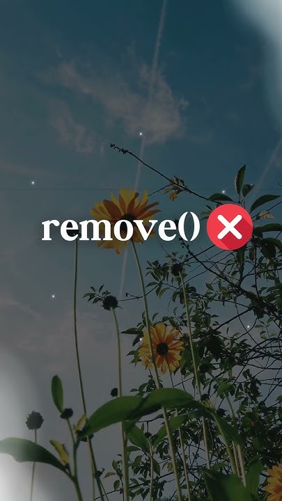 Method to remove whitespace from start and end of a string in Python ...