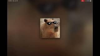 OG capybara song TikTok version (USE BEFORE ITS GONE!!!)
