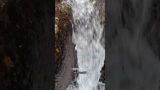 Instant Relief 🌊 Pure Water ASMR #shorts