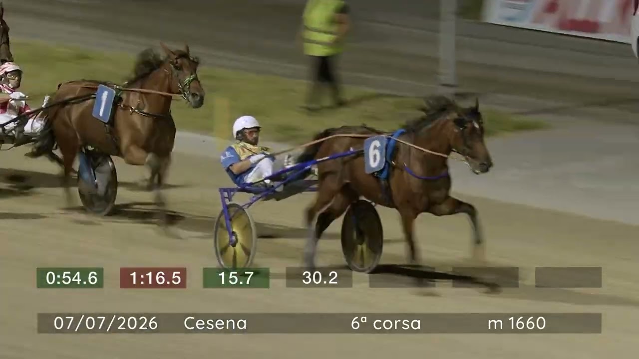 2026 07 07 | Corsa 6 | Metri 1660 | Premio Team Case Castagnoli Cesena - Tga 2026