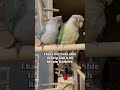 Wait for the ending 🤣