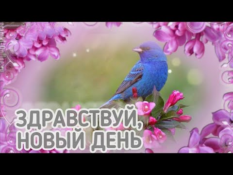 Доброго Счастливого Дня 🌹 Мира и Добра! Доброго Утречка Хорошего Дня Открытка