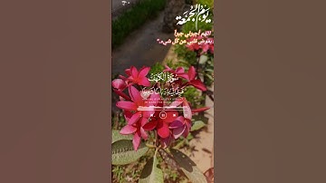 لا تنسوا قراءة سورة الكهف💙#تصوير_جوال #تصويري #تصوير #تصوير_طبيعة #اكسبلور #سورة_الكهف #صلاة_الجماعة