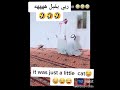 ربي يقبل الصلاه ههههه