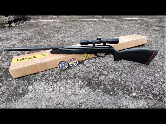 Rifle Aire Comprimido Gamo Big Cat 1250 Con Mira Gamo 4x32