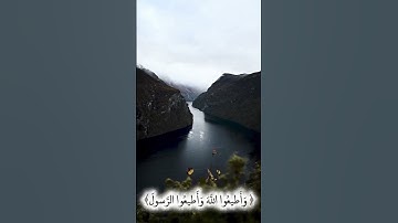 #تلاوات #اكسبلور #المصحف #تلاوة_خاشعة #راحة_نفسية #القرآن_الكريم #لايك #القزابري ##دعم  #حالات_واتس