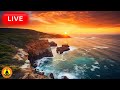 🔴 Relaxing Music 24/7, Sleep Music, Stress Relief Music, Spa, Meditation, Yoga, Zen, Calming Music