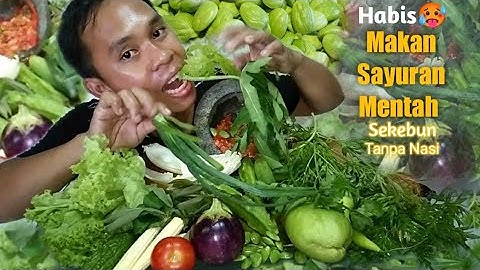 MAKAN LALAPAN MENTAH + SAMBAL TERASI TANPA NASI