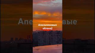 Апельсиновый Рассвет #Shortsvideo #Youtubeshorts #Рассвет #Жизнь