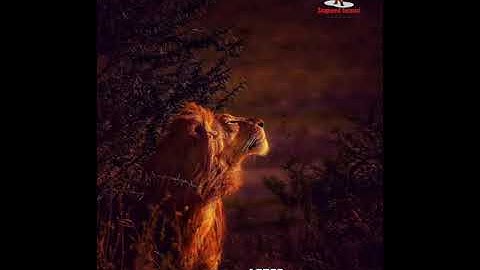 Photo Colour Correction l Snapseed #photoediting