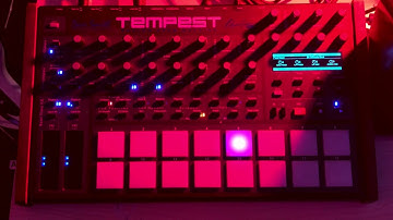 DSI/Sequential Tempest - NIN Terrible Lie