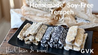 Soy  Free Tempeh (3 kinds)