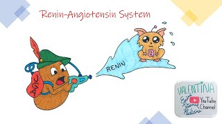 Sistema Renina-Angiotensina - Studenti di veterinaria