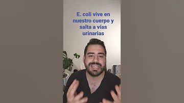 ¿Puede su cuerpo curarse de la E. coli?