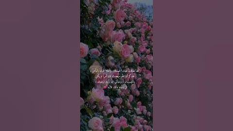 حالات واتس قرآن 🌼|| القارئ بلال دربالي