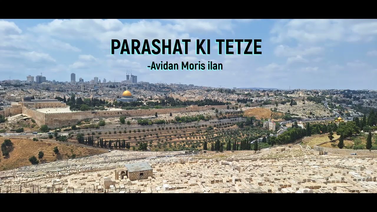 PARASHAT Ki tetze  a funkim zawkin