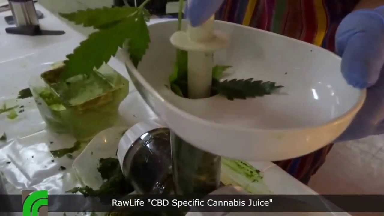 CBD Cannabis Juice    RawLife Episode 3    RRTV