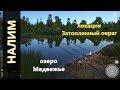 Русская рыбалка 4 - озеро Медвежье - Налимы тут тоже есть