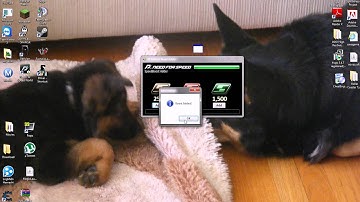 NFSW Speed Boost Generator (September 2012)